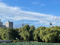 -长春市南湖公园