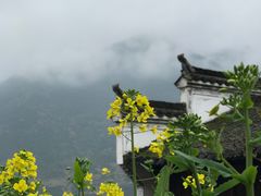 -婺源风景区