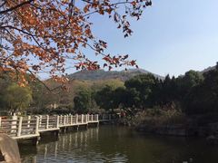 -白马涧龙池景区