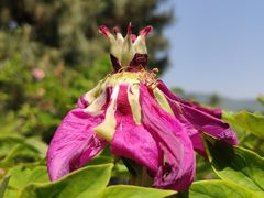 -国家植物园南园