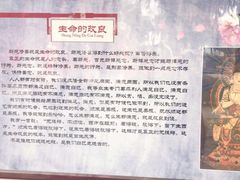 -西安青龙寺遗址景区