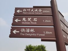 -鬼笑石后山停车场