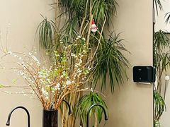 -隅乐胡椒虾·台湾菜·团建(皇岗店)