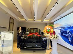 -上海冠松华奥奥迪4S店(张江店)