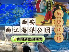 -西安曲江海洋极地公园