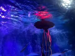 -沈阳海洋探索中心