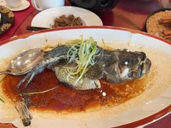 -麒麟中餐厅·经典粤菜·地道菜式老字号(广州长隆酒店)