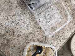 -御品轩(交大一店)