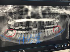 -西安交通大学口腔医院(主院区)
