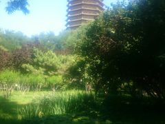 -玲珑塔公园