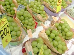-油麻地果栏