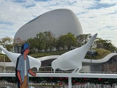 -深圳湾万象城(南山店)