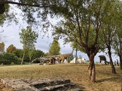 -西部长青自然儿童乐园