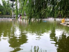 -莲湖公园