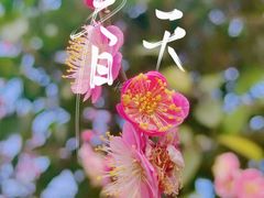 -开福禅寺
