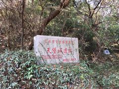 -紫金山天文台