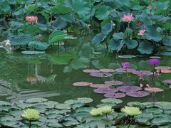 -国家植物园南园