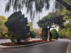 -北陵公园