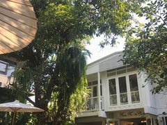-Fern Forest Cafe