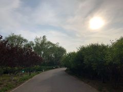 -永定河休闲森林公园