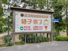 -上海长兴岛郊野公园