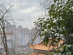 -宝通禅寺