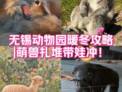 -无锡动物园·太湖欢乐园