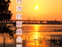 -宝安西湾红树林湿地公园