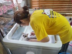 -十年猫舍·猫咪专门店(普陀店)
