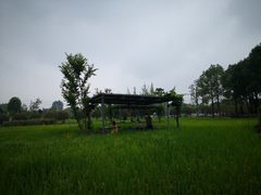-洪湖家庭农场·团建·露营·会议