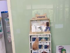 -申普宠物医院·眼科·心内科·影像科(普陀分院)