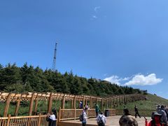 -白草畔自然风景区