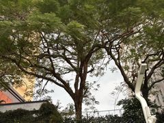 -人民公园(罗湖区)