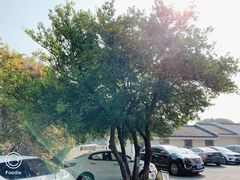 -上海市保健医疗中心