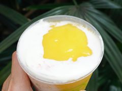 -真茶屋·0奶精(街道口一店)