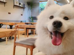 -小意思咖啡店(草桥店)