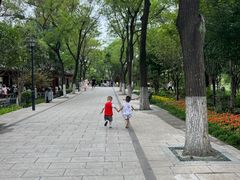-莲湖公园