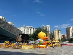 -南山文体中心-游泳馆