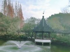 -上海醉白池公园