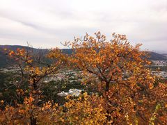 -香山公园