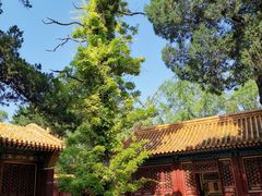 景点-景山公园