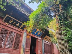 -洛阳白马寺