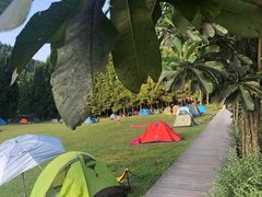 -武陵山森林公园