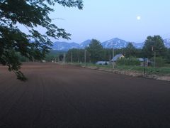 -青池