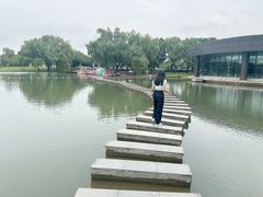 -上海佘山世茂艾美酒店