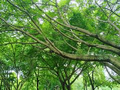 -望江楼公园