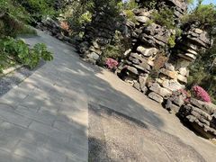 -南山植物园
