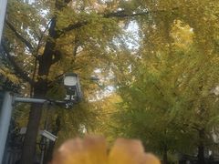 -四川大学(望江校区)