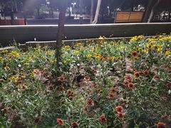 -长辛店二七公园