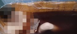 -蓝丝带 催乳 产后恢复中心(狮山龙湖店)